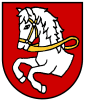 Dřevěn&eacute; podlahy Pardubice