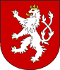 Podlahy Turnov